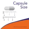 Now Foods Coral Calcium Plus (100 Capsule Vegetale)
