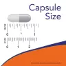 Now Foods NAC 600 mg Veg Capsules (100 Capsule Vegetale)