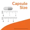 Now Foods Female Balance  (90 Capsule)