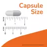 Now Foods Berberine Phytosome (60 Capsule Vegetale)