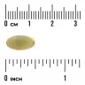 Swanson Oregano Oil 10:1 Extract (120 Capsule moi)