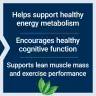 Life Extension Creatine & Acetyl-L-Carnitine Energy Plus (233 g)