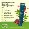 Himalaya Botanique Neem Pomegranate Toothpaste  (75 ml, Neem și rodie)