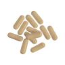 Nutrend Tribulus Terrestris Turbo (120 Capsule)