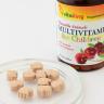 Vitaking Multivitamine pentru copii - Multivitamin for Children (90 Comprimate masticabile)