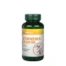 Vitaking Gymnema Sylvestre 400 mg - Gymnema Sylvestre 400 mg (90 Capsule)