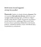 Vitaking Sirop multivitaminic Vitemix - Vitemix Multivitamin Syrup (200 ml)