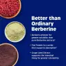 Enzymedica Berberine Phytosome® (60 Capsule)