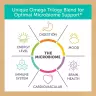 Enzymedica Aqua Biome Maximum Strength Omega 3 (120 Capsule moi)