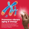 Enzymedica Telomere Plus® (30 Capsule)