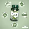 Natures Aid Green Tea 10,000mg (60 Comprimate)