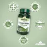 Natures Aid Ginkgo Biloba Standardised 120 mg (90 Comprimate)