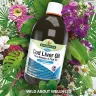 Natures Aid Cod Liver Oil  (500 ml)