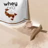 Nutriversum Whey PRO - PURE (1000 g, Caramel Sărat)