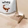 Nutriversum Whey PRO - PURE (1000 g, Tiramisu)