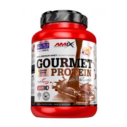 Amix Gourmet Protein (1000 g, Cocos cu Ciocolată)