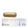 Nature's Way Echinacea Goldenseal Premium Blend (100 Capsule)