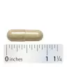 Nature's Way Fenugreek Seed (320 Capsule)