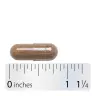 Nature's Way Horse Chestnut (90 Capsule)