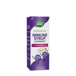   Nature's Way Sambucus Immune Syrup for Kids (240 ml, Soc)
