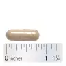 Nature's Way Wild Yam Root (100 Capsule)