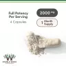 Double Wood Supplements Magnesium L-Threonate (Magtein) (120 Capsule)