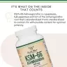 Double Wood Supplements KSM-66 Ashwagandha 600 mg (120 Capsule)