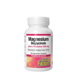   Natural Factors Magnesium Bisglycinate 100 plus L-Theanine 250 mg (90 Capsule)