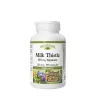 Natural Factors Milk Thistle 250 mg/150 mg Silymarin (90 Capsule)