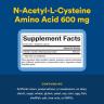 Natural Factors N-Acetyl-L-Cysteine Amino Acid (NAC) 600 mg (180 Capsule Vegetale)