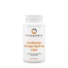 Vitaworld Cordyceps extract 500 mg CS4 (100 Capsule)