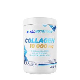 ALLNUTRITION Collagen 10 000 mg (480 g, Portocale)