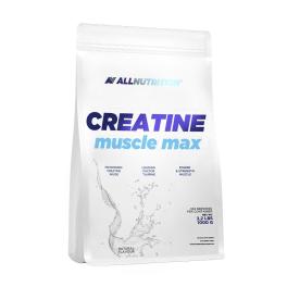  ALLNUTRITION Creatine Muscle Max (1000 g, Fără adaos de aromă)