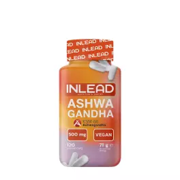 INLEAD Nutrition Ashwagandha KSM-66 (120 Capsule)