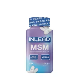 INLEAD Nutrition MSM (120 Comprimate)