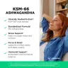 Vitamin360 KSM-66 Ashwagandha® 200 mg – Supliment alimentar premium cu ashwagandha (120 Capsule Vegetale)
