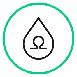 Omega 3 vegan